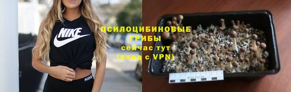 тгк Кулебаки