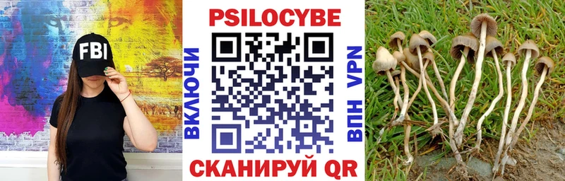 MEGA tor  Копейск  Галлюциногенные грибы MAGIC MUSHROOMS 