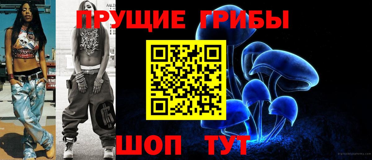 купить наркотик  Галлюциногенные грибы Psilocybine cubensis  Вход с VPN  Копейск 