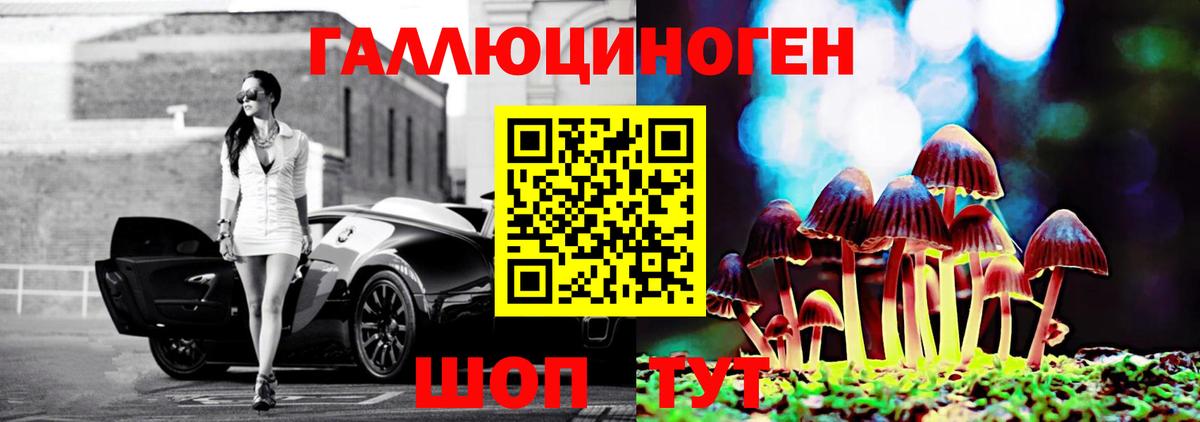 Галлюциногенные грибы GOLDEN TEACHER Копейск